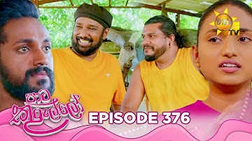 Paata Kurullo - පාට කුරුල්ලෝ | Episode 376 | 2025-10-17 | Hiru TV