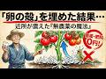 卵の殻を土に埋めたら — 近所が信じなかった結果(農薬なし)