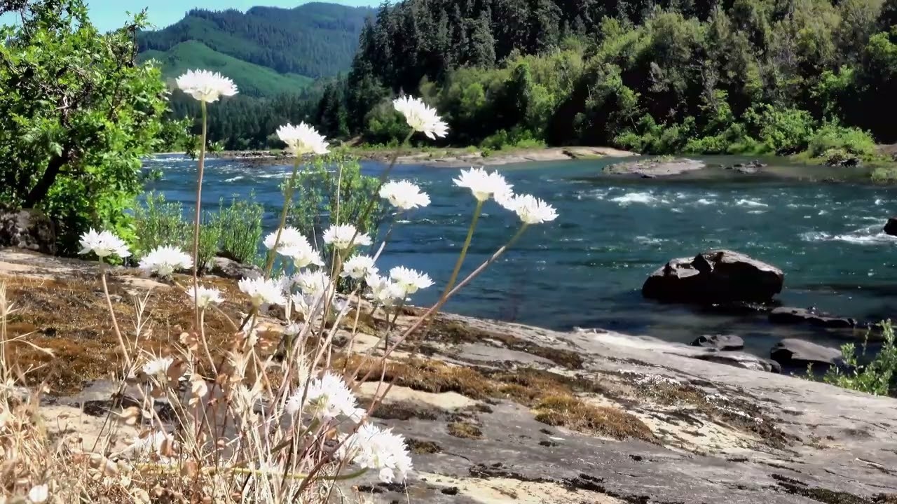 COMO QUISIERA SANTO DIOS--