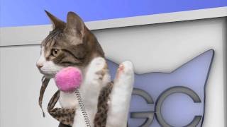 Gettin' Catty - Episode 1