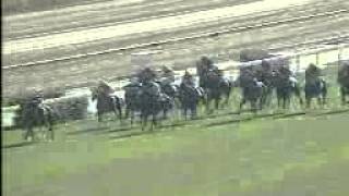 2000 Hong Kong Mile - Sunline