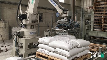 High Speed Automatic Robot Bag Palletiser