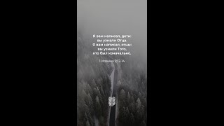 Господь, спасибо, что мои грехи прощены ради имени Твоего #библия #biblevision