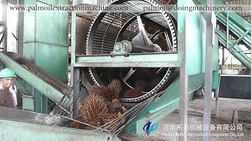 Palm oil mill plant of separating palm fruit from palm bunch machine for large capacity