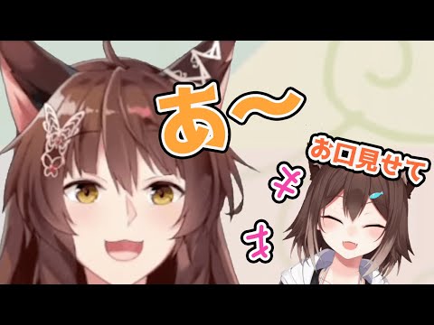 フミ様のお口の中をみて赤ちゃんみたいに喜ぶ野良猫【にじさんじ切り抜き】