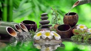 Música Zen Relajante con Sonidos de Agua de Bambú 🍃 Meditación, Spa y Sueño Pacífico
