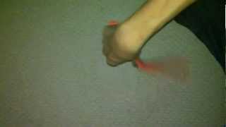 Bear Ops B200 Flipping