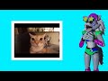 JORDON IS BACK!!! | FUNNY CAT MEMES - Part 139