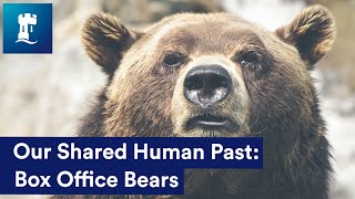 Our Shared Human Past:  Box Office Bears