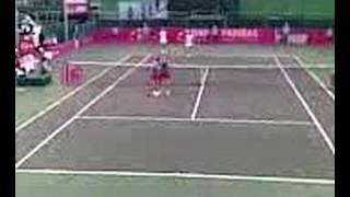 Fedcup 2008