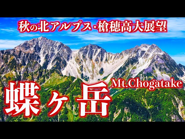●【サボ　愛称板】（表）八ヶ岳 YATSUGATAKE（裏）アルプス ALPS ○【サボ 愛称板】（表）八ヶ岳 YATSUGATAKE（裏）アルプス ALPS