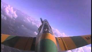 Warbird Adventures Loop
