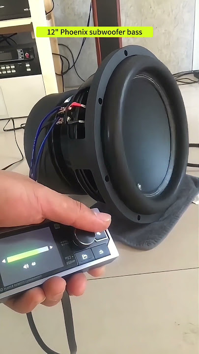 12' Phoenix subwoofer bass check