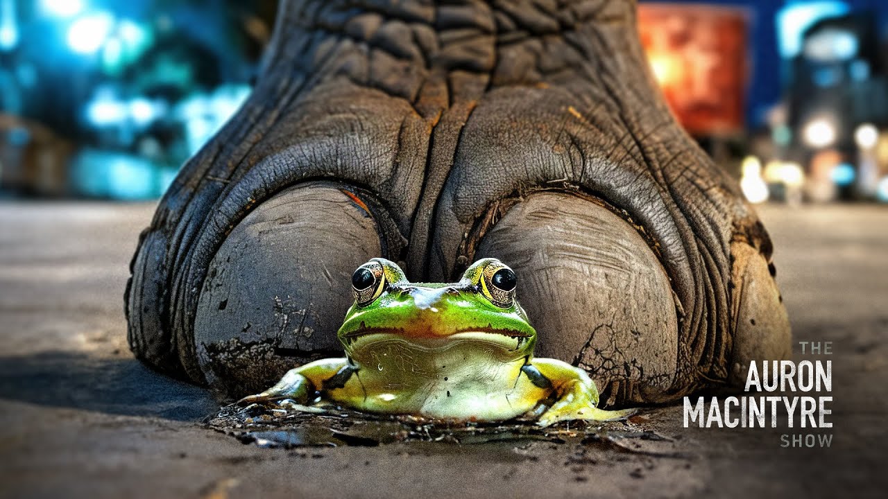 The Left Nurtures Radicals While the Right Eats Its Own | 9/5/24