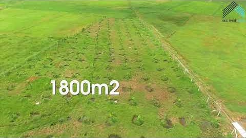 Review BĐS Củ Chi - Dự án đất nền 1800m2 tại Xã Nhuận Đức, H.Củ Chi, Tp.HCM - Đức Phát Land