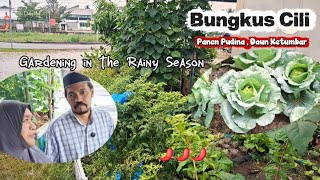 Tengok Tanaman di Halaman Selepas Hujan Lebat | Garden After Rain 🌧🌿 screenshot 5