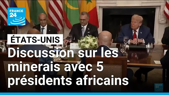 Donald Trump évoque la question des minerais avec cinq présidents africains • FRANCE 24