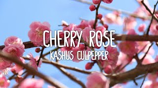 Kashus Culpepper - Cherry Rose (Lyrics)