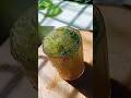 Healthy Desi Summer Drink l Sattu Ka Sharbat #shorts #desisharab #summerdrinks #sattusharbat