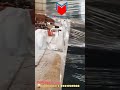 #NC#hydraulic#shearing🏠#machine#maximack#india#pvt#ltd#ahmedabad#gujarat