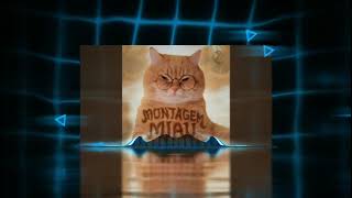 MONTAGEM MIAU [ULTRA SLOWED 💀]- LENAR , leonardo , p 