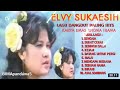 ELVY SUKAESIH _ lagu paling hits karya  RHOMA IRAMA 