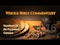 Numbers 16 Chapter Study — Korah’s Revolt and Mercy