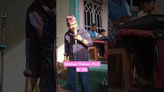 Lagu  Sebiduk Sungai Musi by Domi Ancis Organis : Niko Flora #@Reba Pasa