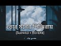 Tor moner pinjiray  jisan khan shuvo  slowed and reverb  bengali lofi  10 pm bengali lofi