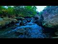 Can't Sleep Tonight? Let This Soft Water Stream Block Out the Noise for Deep Relaxation Everyday Use
