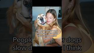 Senior dogs slow down?