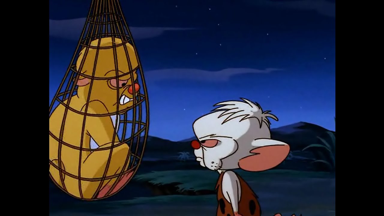 Pinky and The Brain - Brain vs. Snowball (Welcome to the Jungle) - YouTube