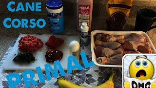 ASMR MUKBANG Cane Corso Eats Raw Foods | Raw Chicken Raw Liver Raw Beef