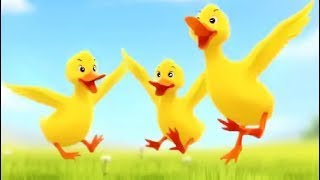 🐤🐥Freeze Dance Song for Kids | Duckling Dance Party | Toddler &amp; Preschool Action Song