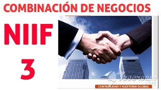 Combinación De Negocios Niif 3 Norma Internacional De Información Financiera 3