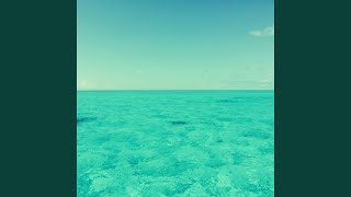 Simplistic Backdrops for January Beach Trips