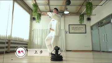 《24式太极拳》镜面版 第二式：左右野马分鬃