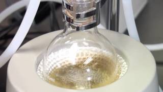 06 Reflux (English)