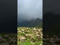 ريف بارق شوف الطبيعه المملكة العربية السعودية