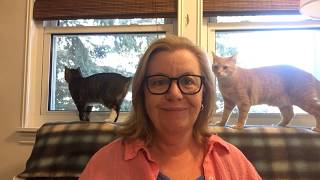 Book Postscript 2018 Tag
