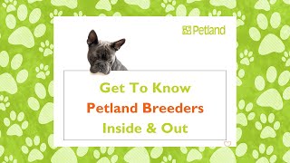 Get to Know Petland Breeders Inside and Out
