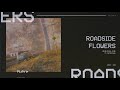 DROELOE - Roadside Flowers (ft. Iris Penning) [Official Audio]