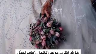 فيديو عن العروسه