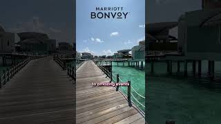 Maximizing Loyalty Points for Unique Travelling Experiences