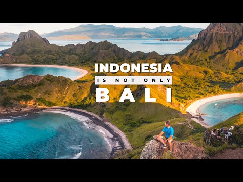 Video: Bird Park (Bali Bird Park) beskrivelse og bilder - Indonesia: Bali island