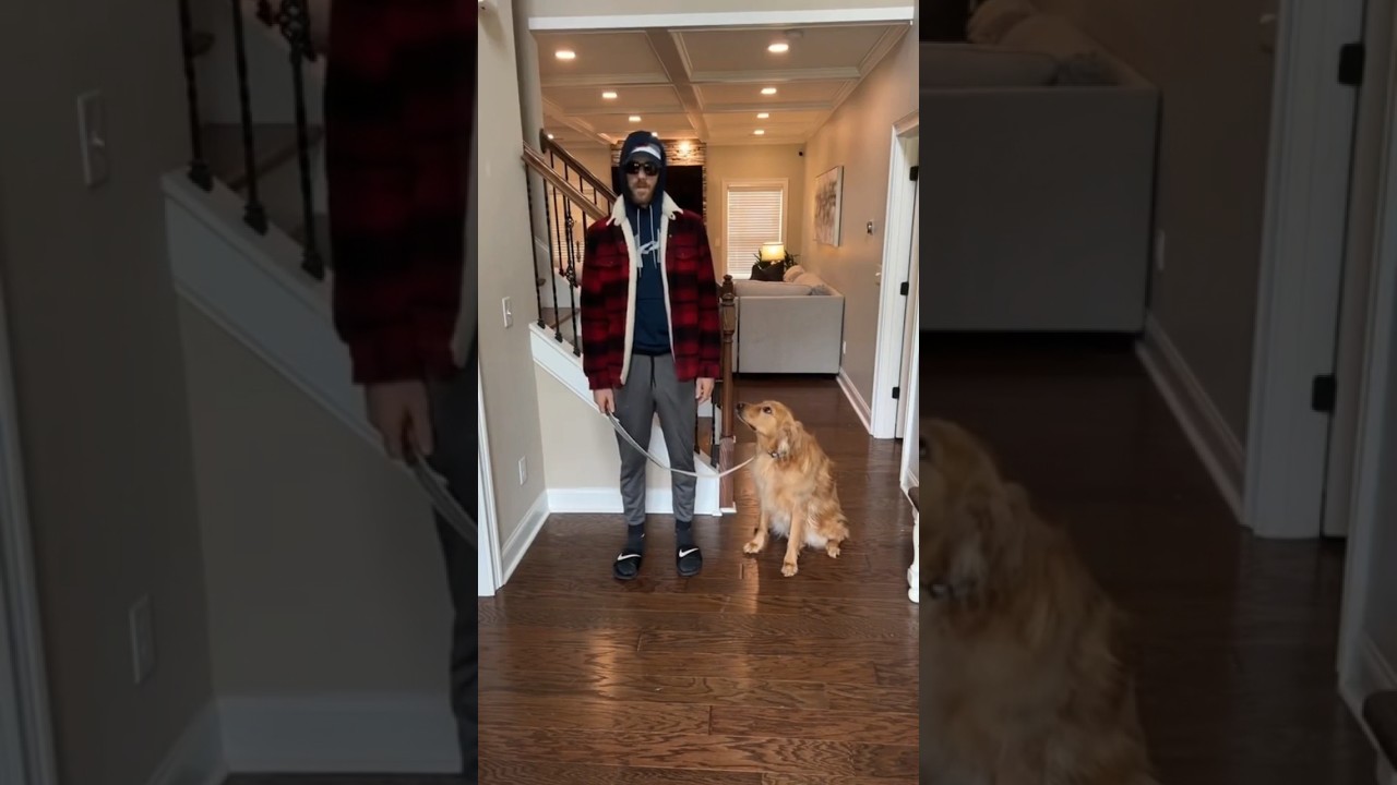 What outfit should I wear to walk my dog?! 