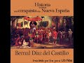 Historia verdadera de la conquista de la nueva espaa by bernal daz del castillo part 26