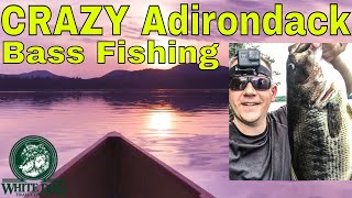 CRAZY Adirondack Bass Fishing - Rollins Pond Camping, Paddling and Fishing