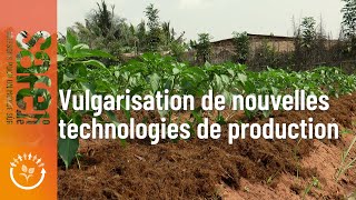 Vulgarisation De Nouvelles Technologies De Production Des Legumessafeone2024