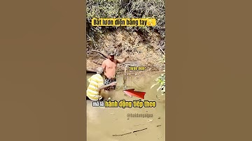 trải nghiệm cảm giác bị lươn điện giật